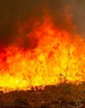 Avustralya’da orman yangınları sürüyor: 16 bin hektarlık alan küle döndü