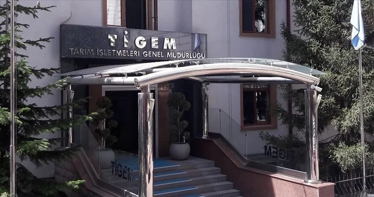 TİGEM 60 safkan Arap koşu tayı satacak