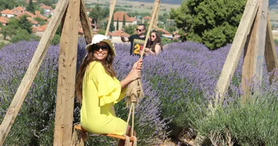 Lavanta tarlaları 150 bin ziyaretçi bekliyor