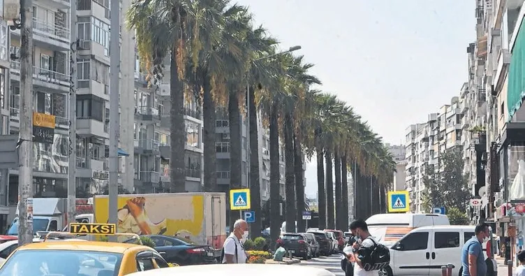 Palmiyeler yetersiz ilaçlama kurbanı