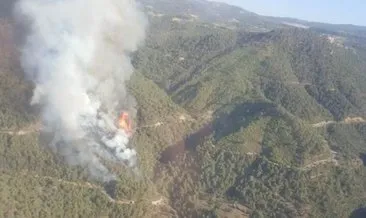 Manisa’da çıkan orman yangınına müdahale ediliyor