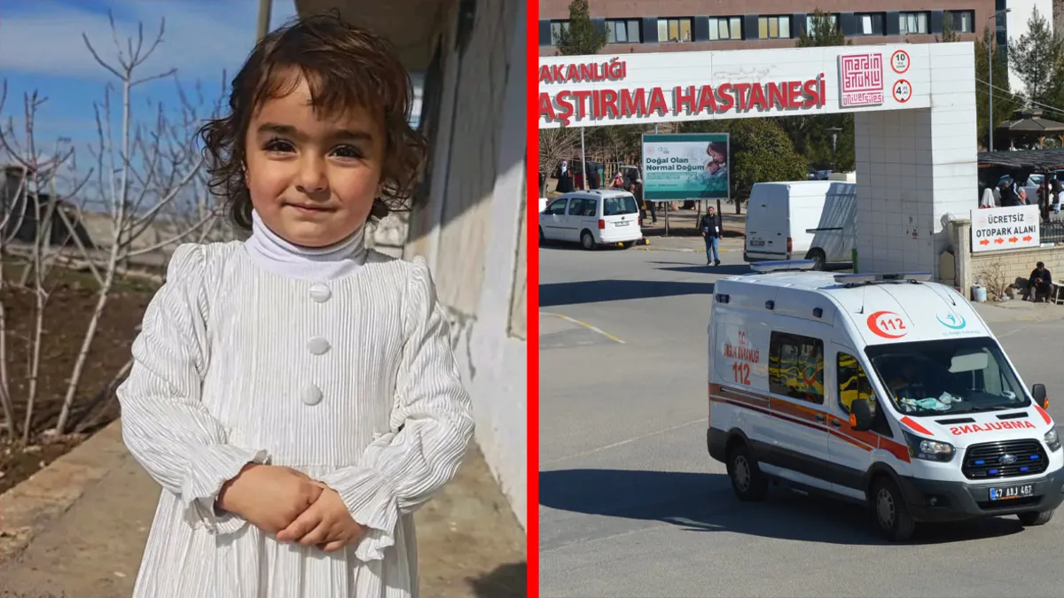 Mardin’de dehşet anları! 4 yaşındaki nazlı köpeklerin saldırısına uğradı: Yaşam savaşı veriyor Mardin’de dehşet anları! 4 yaşındaki nazlı köpeklerin saldırısına uğradı: Yaşam savaşı veriyor