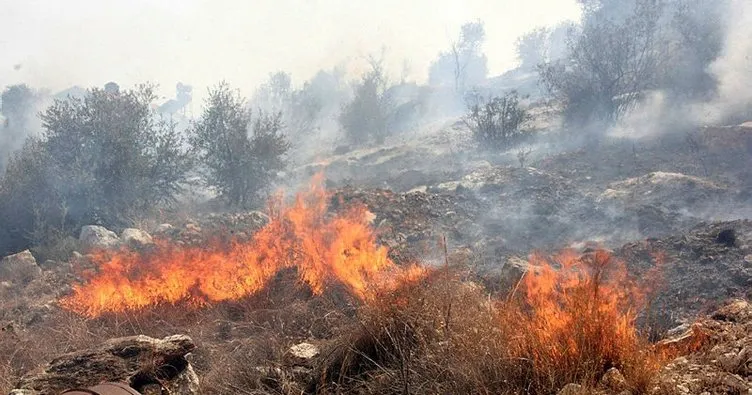 Erdemli’de orman yangını