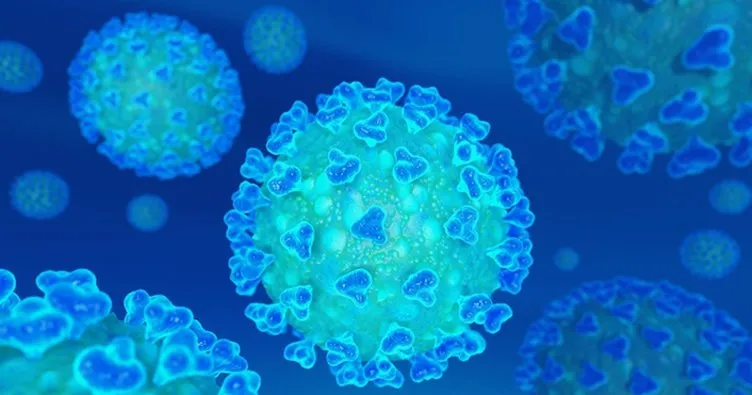 ABD’de koronavirüsten ölenlerin sayısı 204 bin 628