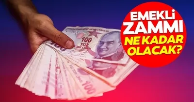 EMEKLİ ZAMMI HESAPLAMA 2026: 4.enflasyon verisi açıklanıyor! Temmuz’da en düşük emekli maaşı ne kadar olacak?