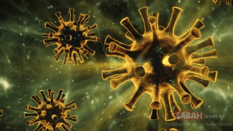 Corona virüse SARS-CoV-2 benzeyen yeni bir virüs bulundu!