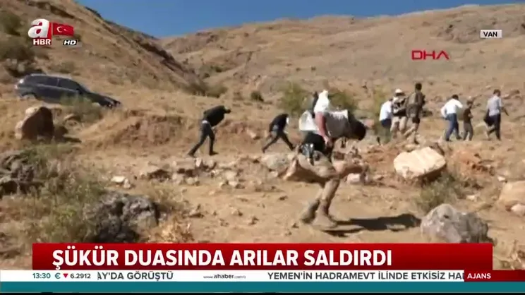 Dua yaptıkları sırada arılar saldırdı!