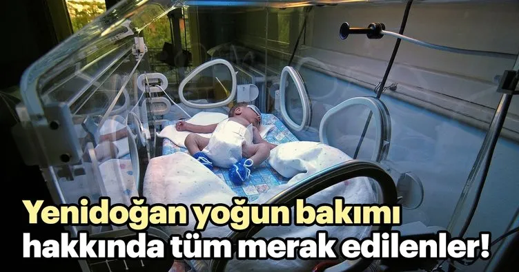 Yenidogan Yogun Bakim Hakkinda Tum Merak Edilenler Bebek Haberleri