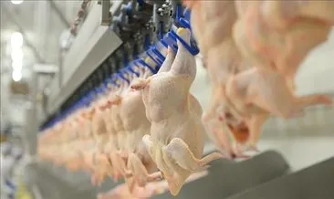 Tavuk eti üretimi ocakta yıllık bazda yüzde 6 arttı