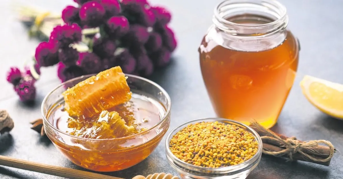Propolis Her Derde Deva Selahattin Donmez