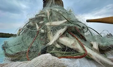 Su ürünleri üretimi yüzde 1,8 arttı