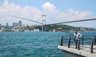 Son dakika haberi: Meteoroloji uyardı! Pastırma sıcakları geliyor... Ankara, İstanbul ve İzmir’de hava durumu