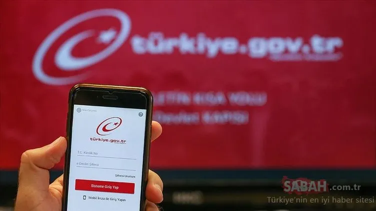 E-Devlet giriş ekranı: e-Devlet’e nereden, nasıl girilir, şifre nereden alınır?