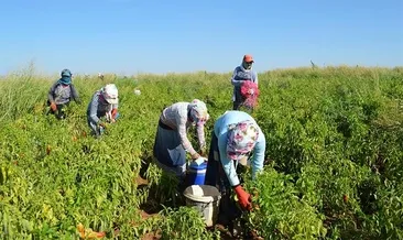 Mevsimlik işçilerin emeklilik zaferi