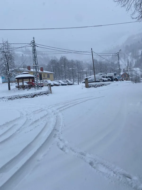 trabzonda-tipi-ve-buzlanma-nedeniyle-6-guzergah-ulasima-kapatildi-1767439877940.jpg