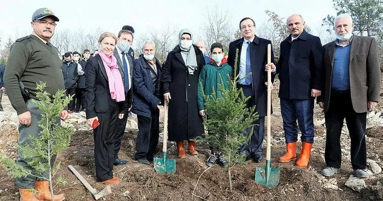 Fidanlar Alaaddin öğretmen için dikildi