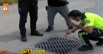 Antalya’da kanalizasyonda şoke eden görüntü! Ürperten seslerin esrarını polis... | Video