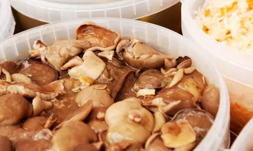 Mantar tüketirken bunlara dikkat! Zehirlenmeye neden oluyor...