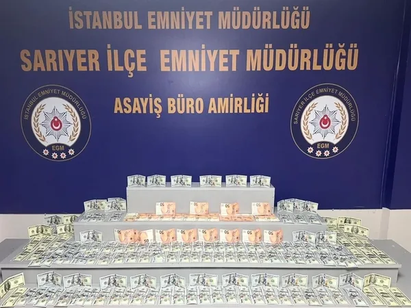 1780311219862.jpg