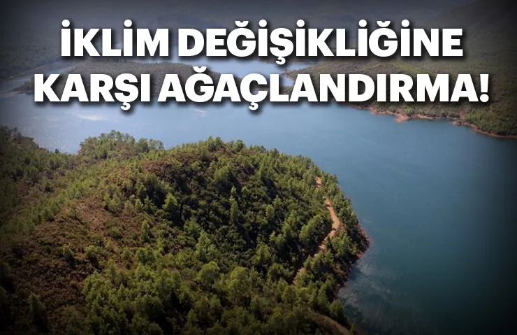 İKLİM DEĞİŞİKLİĞİNE KARŞI AĞAÇLANDIRMA