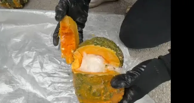 Uyuşturucu tacirlerinden bal kabağına ince işçilik Uyuşturucu tacirlerinden bal kabağına ince işçilik