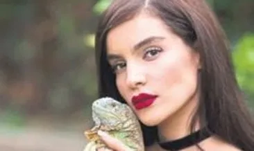 İranlı İzabella iguana hay