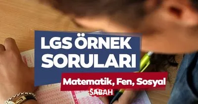 LGS ÖRNEK SORU VE ÇÖZÜMLÜ TIKLA-İNDİR || MEB 2024 Türkçe, Matematik, Fen LGS örnek sınav soruları ve cevapları PDF ekranı
