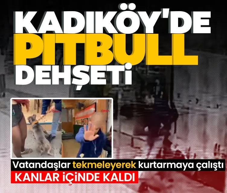 Kadıköy’de Pitbull dehşeti: Vatandaşlar tekmeleyerek kurtarmaya çalıştı! Kanlar içinde kaldı