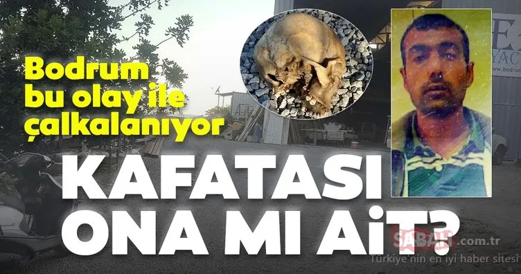Son dakika haberi: Bodrum bu olay ile çalkalanıyor! Bir köpek tarafından bulunan kafatası Mehmet Ali Koran'a mı ait?