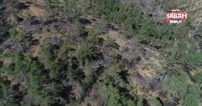 Orhaneli ve Çivili’deki orman yangınlarında sabotaj iddiası!