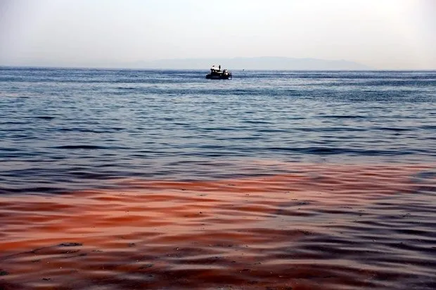Marmara Denizi turuncuya büründü