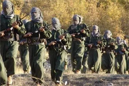 PKK'nın Avrupa yapılanması