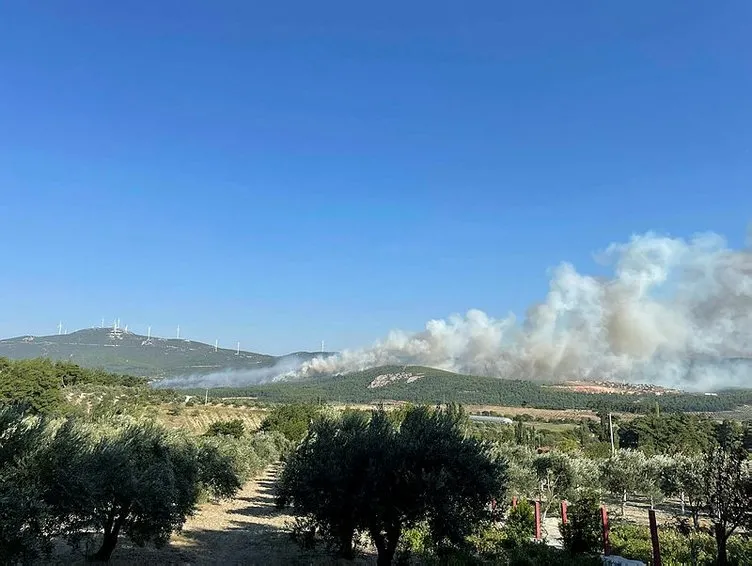 SON DAKİKA: Manisa Soma'da ve Mersin'de orman yangını: 2 mahalle ile 110 hane tahliye edildi