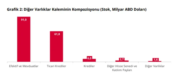turkiyenin-yurt-disi-varliklari-4452-milyar-dolara-yukseldi-tcmb-net-uyp-verilerini-acikladi-1792480307743.png