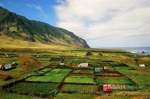 Burada para geçmiyor! Dünyanın en ilginç adası: Tristan de Cunha