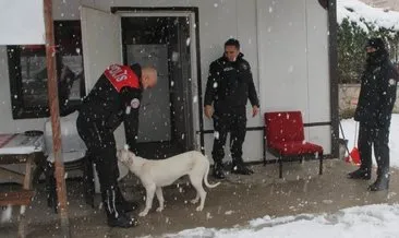 Karda üşüyen köpek polis uygulama noktasına sığındı #amasya