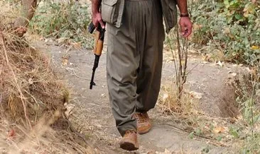 Bitlis’te 1 PKK’lı teslim oldu