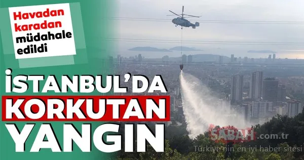 Kartal'da korkutan orman yangını