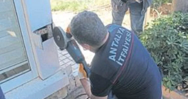 Kedi, insanları yardıma çağırdı