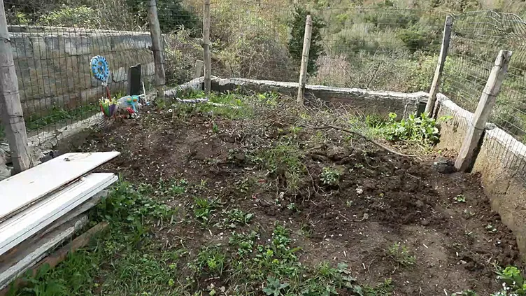 İstanbul’da film gibi olay! Yıllarca dedesi zannetti gerçek bambaşka çıktı! Hemen mahkemeye koştu