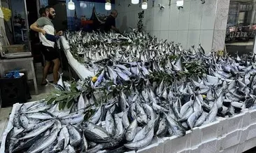 Palamut, hamsi, istavrit... İstanbul'da balık tezgahlarında bolluk başladı #istanbul