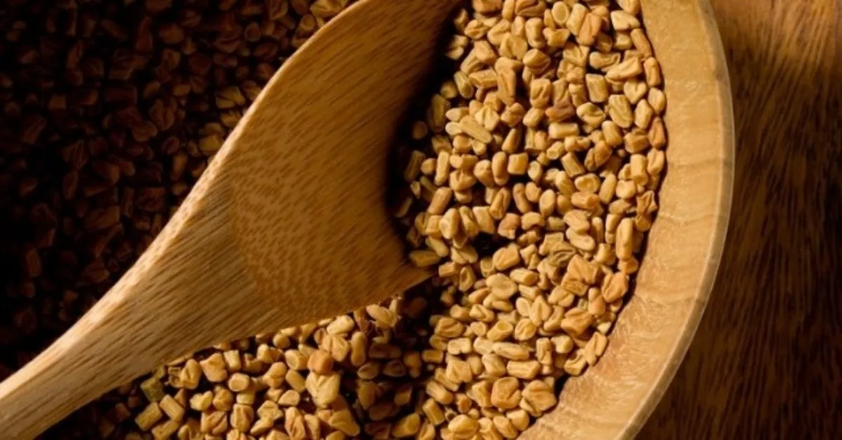 cemen otu tohumunun faydalari nelerdir cemen otu tohumu anne sutunu arttirir mi bebek haberleri