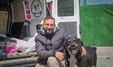 Hayvanlar can çekişiyor! İBB köpeğe iğne vurup ölüme terk etti #istanbul