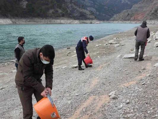 Artvin’de “2 Şubat Dünya Sulak Alanlar Günü” nedeniyle yemleme yapıldı