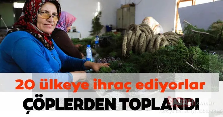 Antalya’da orman çöpleri, kadınların elinde değer kazandı! 20 ülkeye ihraç ediyorlar