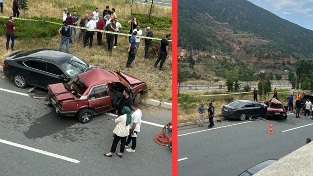 Gümüşhane'de kahreden görüntü: Yaşlı çift öldü, 3 torun yaralı!