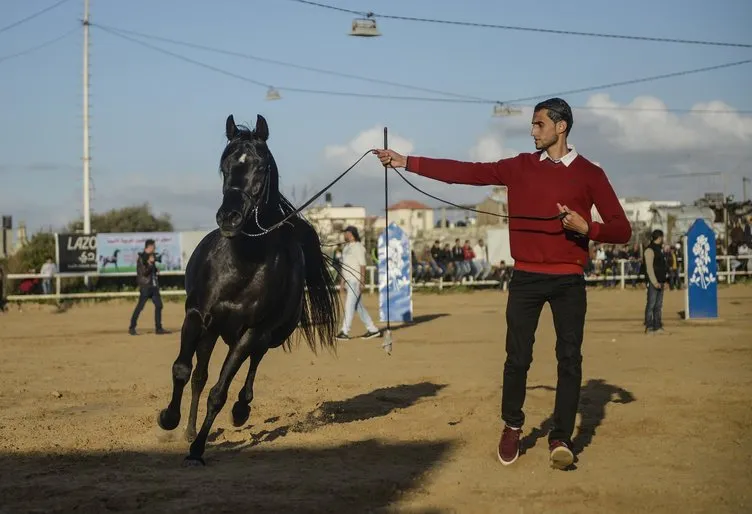 Gazze’de safkan Arap atı etkinliği!
