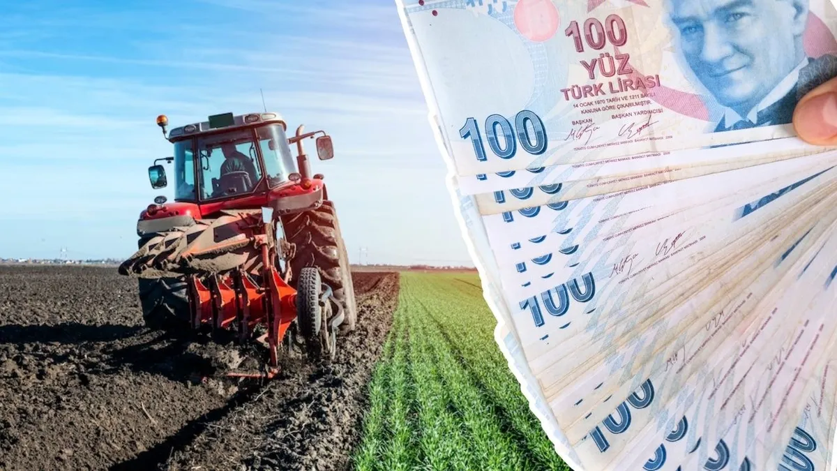TC’si bu rakamla bitenlere bugün 13 milyar TL yatırılacak! Çiftçileri sevindirecek saat belli oldu TC’si bu rakamla bitenlere bugün 13 milyar TL yatırılacak! Çiftçileri sevindirecek saat belli oldu