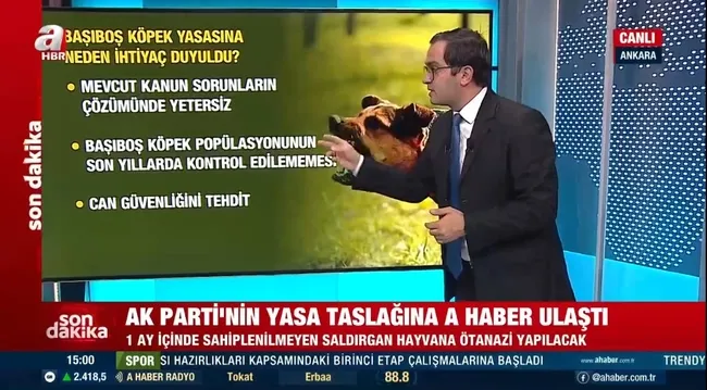 ak-partinin-sokak-hayvanlarina-yonelik-yasa-taslaginda-neler-var-iste-detaylar-1716728582840.jpg AK Parti’nin sokak hayvanları yasası taslağında neler var? İşte detaylar!