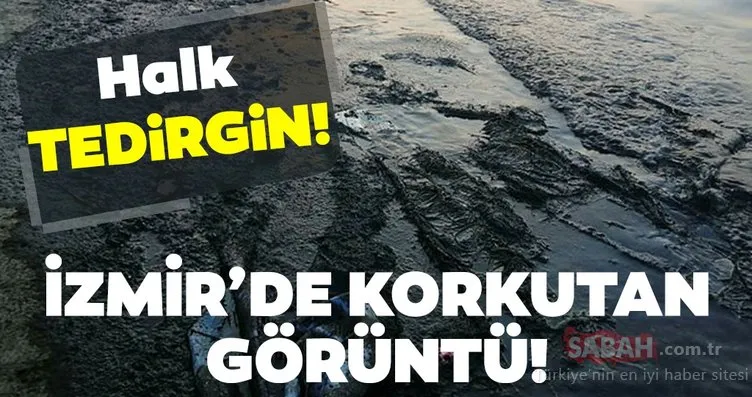 Son Dakika: İzmir’de korkutan görüntü! Halk tedirgin…
